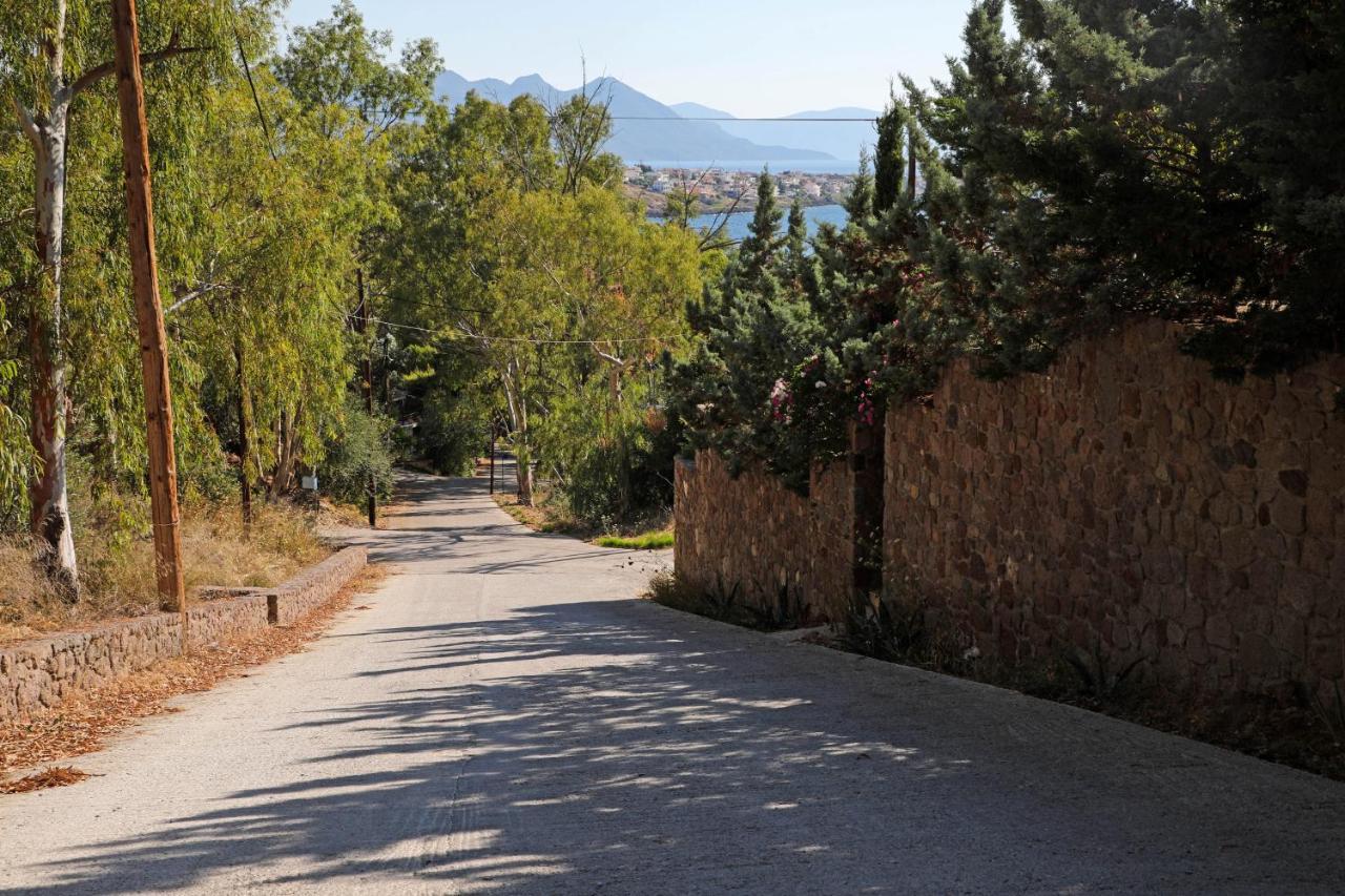 Eucalyptus Villa Aegina Eksteriør billede